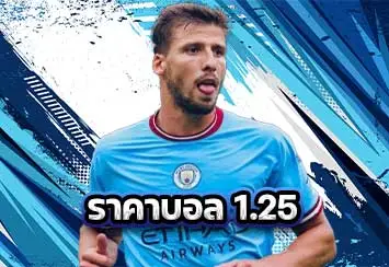 ปกราคาบอล-1.25