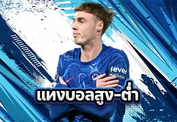 ปกแทงบอลสูง-ต่ำ