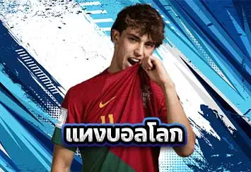 ปกแทงบอลโลก